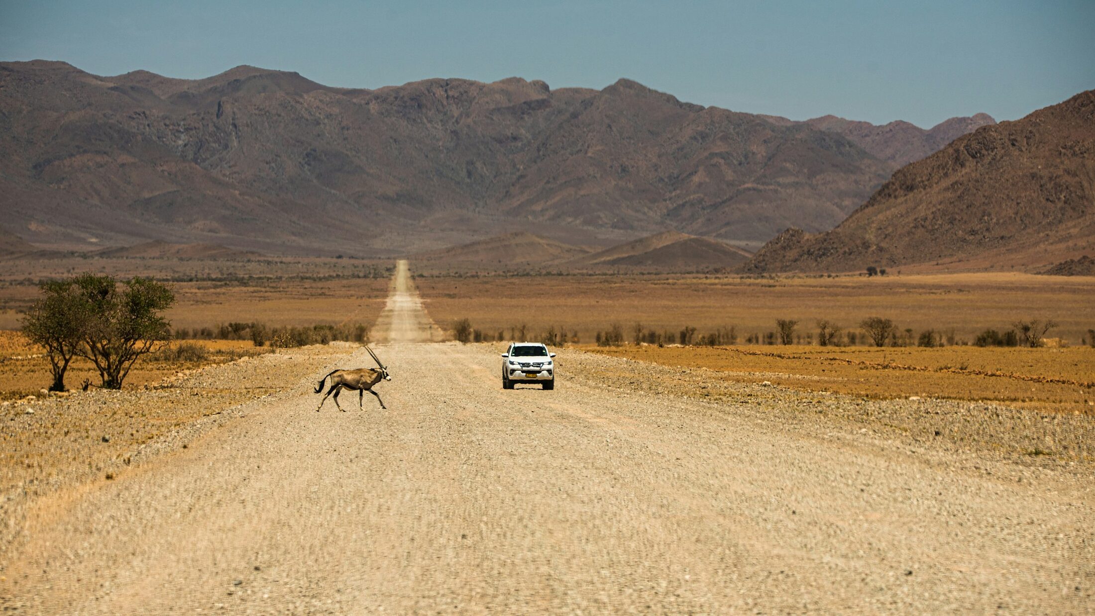 Signature Namibia Luxury Self-Drive Safari