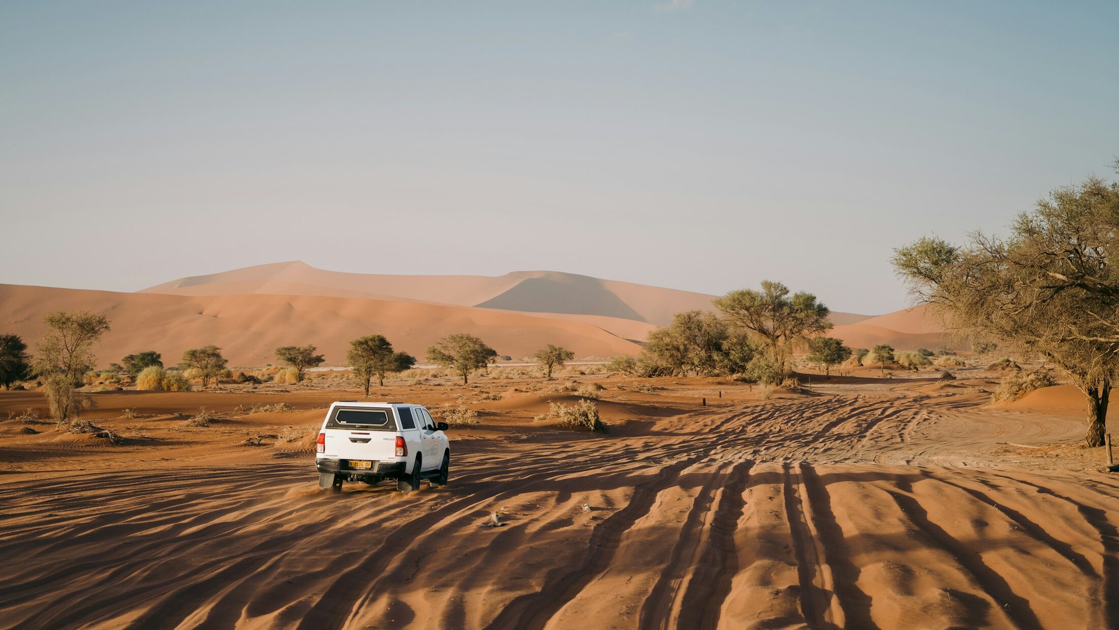 Signature Namibia Family Self-Drive Safari